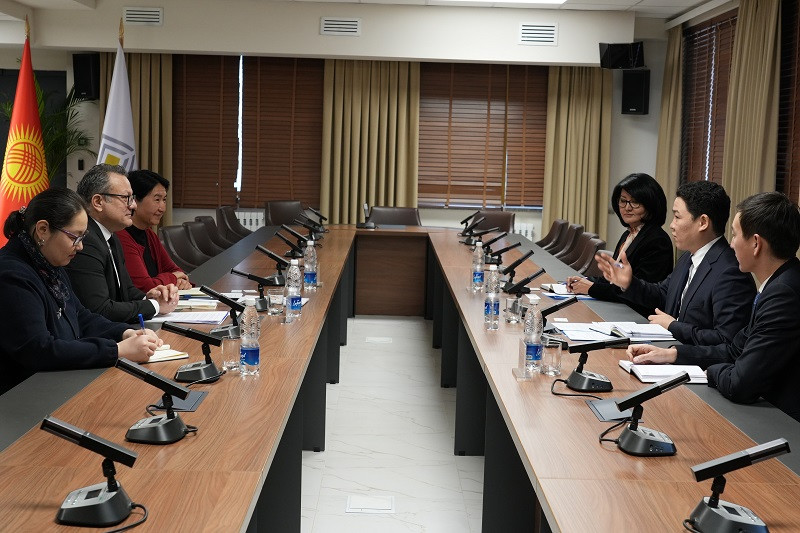 Кыргыз Республикасынын Улуттук банкынын төрагасынын орун басары Миграция боюнча эл аралык уюмдун аймактык координатору менен жолугушту